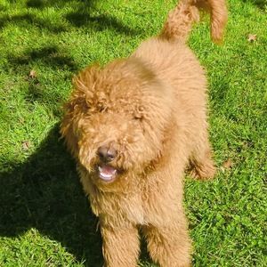 Meet your Posher, Heather